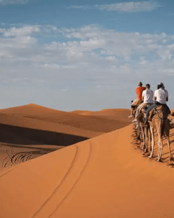 Sahara Desert Tours