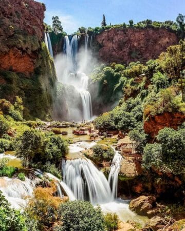 Day Trips & Cultural Tours