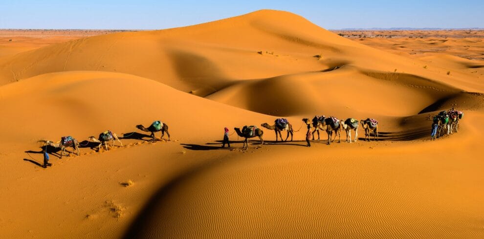 Camel caravan in the Erg Chebbi dunes during a 7-day Morocco tour